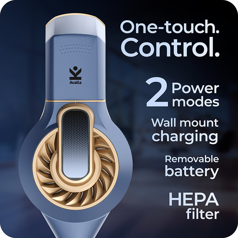 Avalla D-3 Vacuum Cleaner Battery Bundle