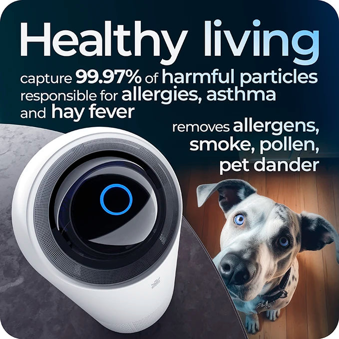 Refurbished Avalla R-2200 air purifier with True HEPA filter