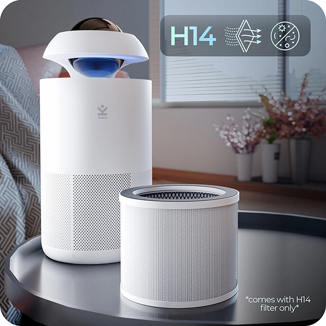 Purificador de aire Avalla R-4000 Filtro de carbón activo HEPA verdadero de larga duración