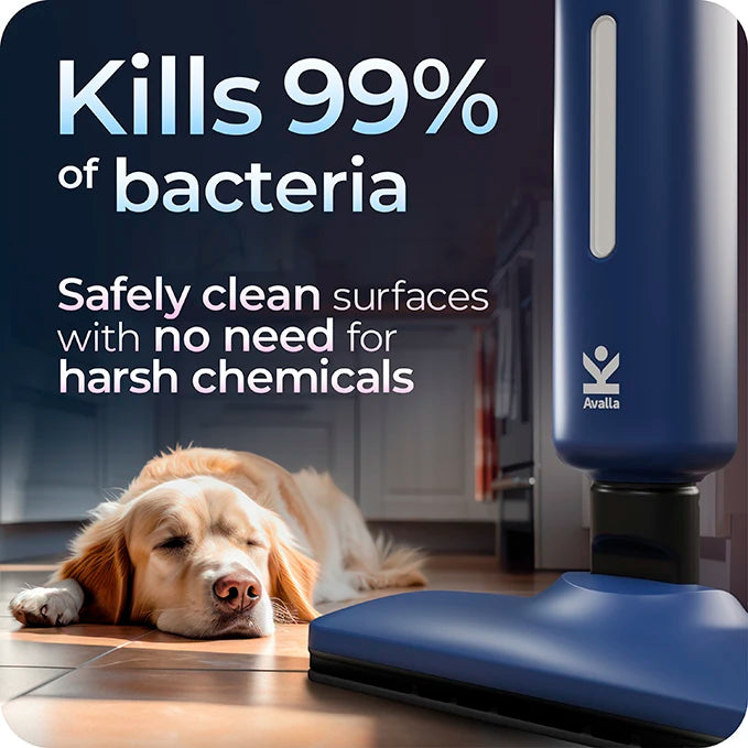 Refurbished Avalla T-20 high pressure steam mop - blue