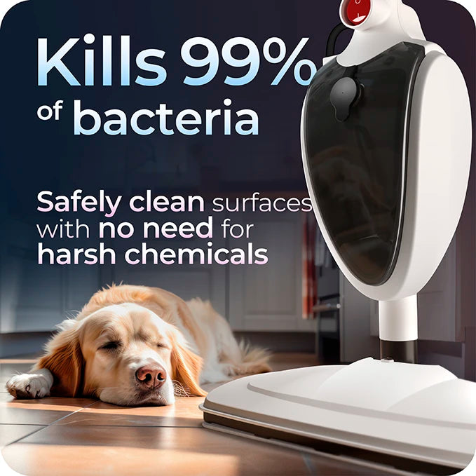 Avalla T-5 Hochdruck-Dampfmopp und Dampfreiniger