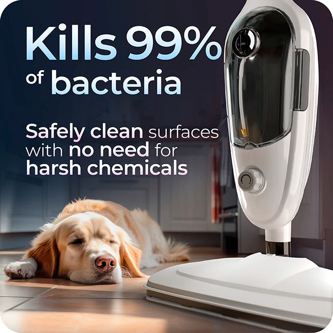 Avalla T-9 Mopa y Limpiadora a vapor de alta presión