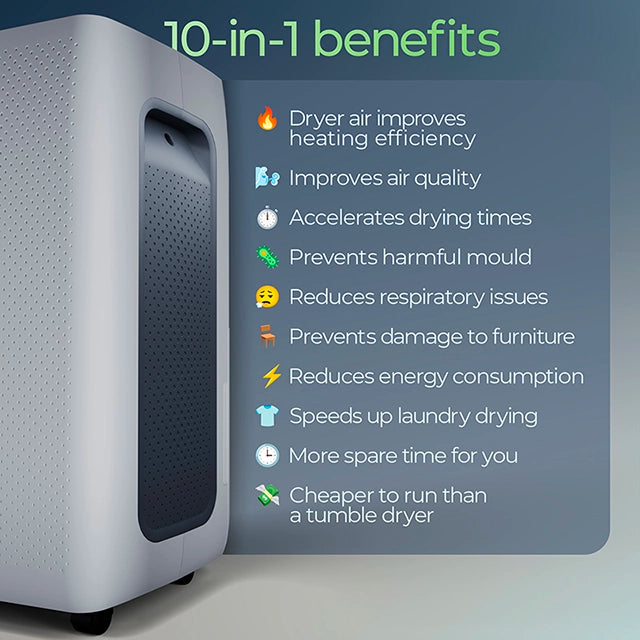 Avalla X-550 deshumidificador 20L + purificador – para toda la casa